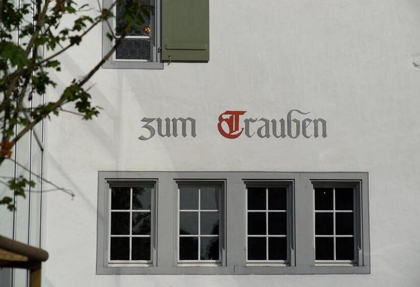 酒店 Gasthaus Zum Trauben