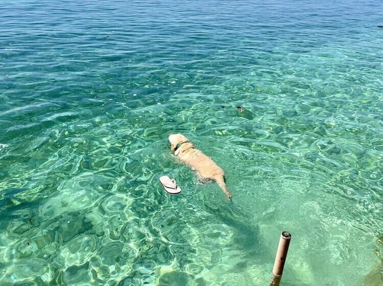 Giswold Lagunde Beach Resort