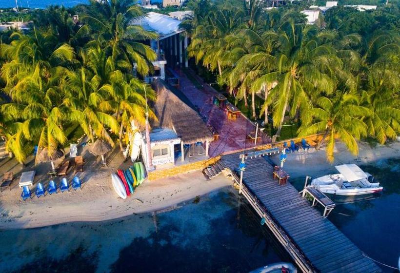 استراحتگاه El Milagro Beach Hotel And Marina