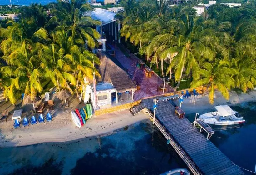 استراحتگاه El Milagro Beach Hotel And Marina