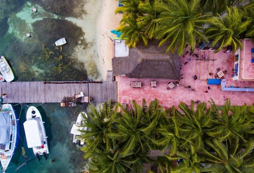 استراحتگاه El Milagro Beach Hotel And Marina