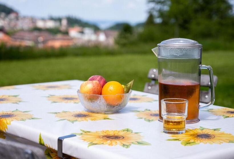 St. Gallen Youth Hostel