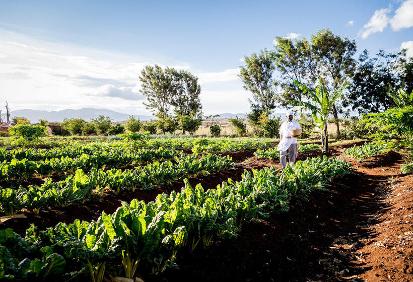 Сельский отель Bashay Rift Lodge