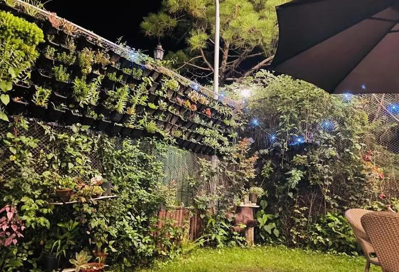 ホテル House Of Lights