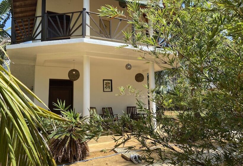 Pensión Coconut Island Cabanas