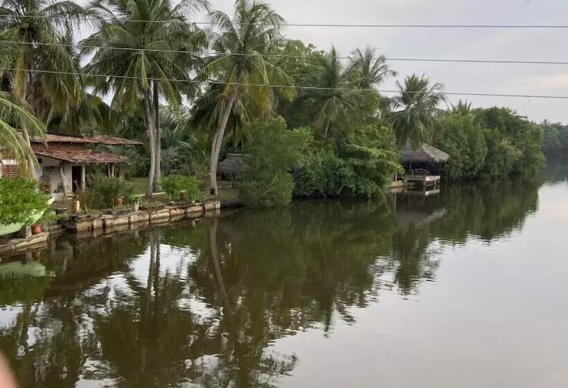 پانسیون Coconut Island Cabanas
