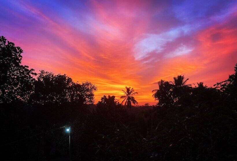 Pensión Coconut Island Cabanas