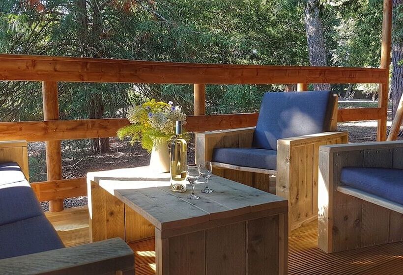 פנסיון Le Lodge Du Domaine Saint Martin