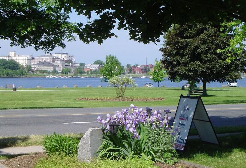 The Colonel S In B&b