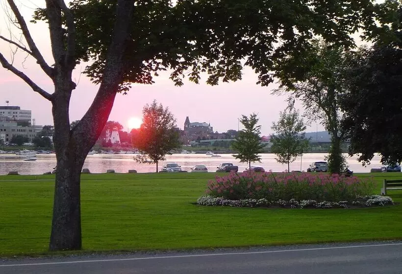 The Colonel S In B&b