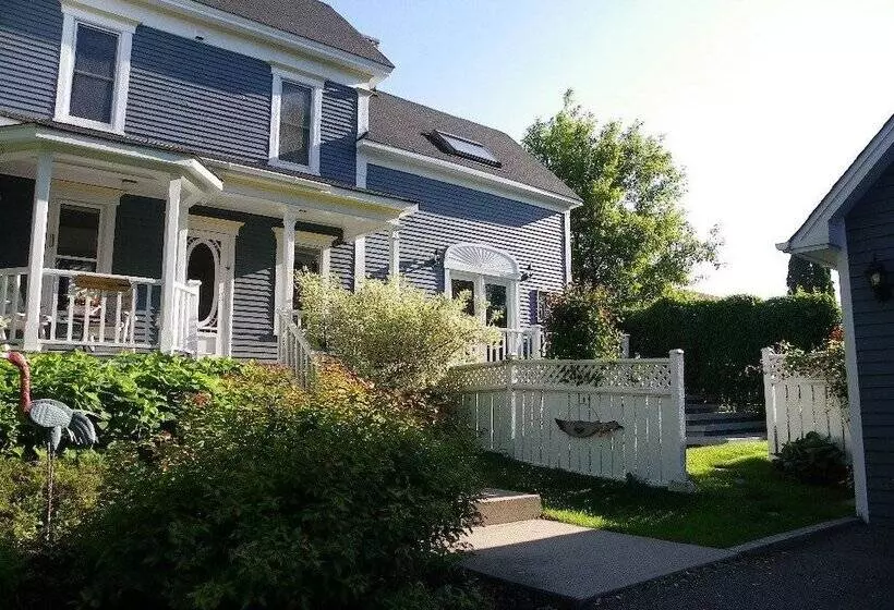 The Colonel S In B&b