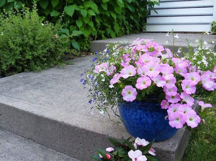 The Colonel S In B&b