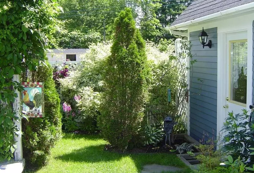 The Colonel S In B&b