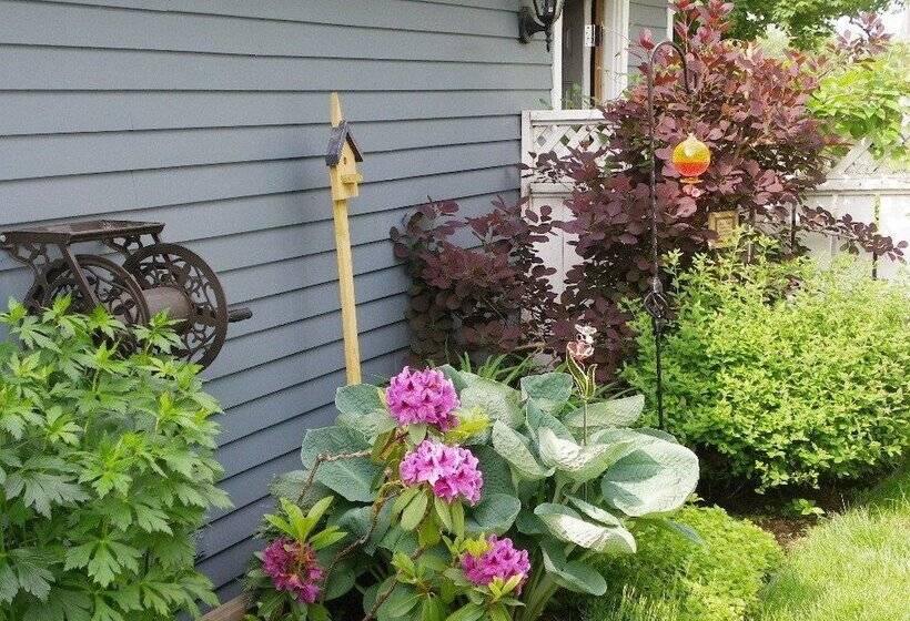 The Colonel S In B&b