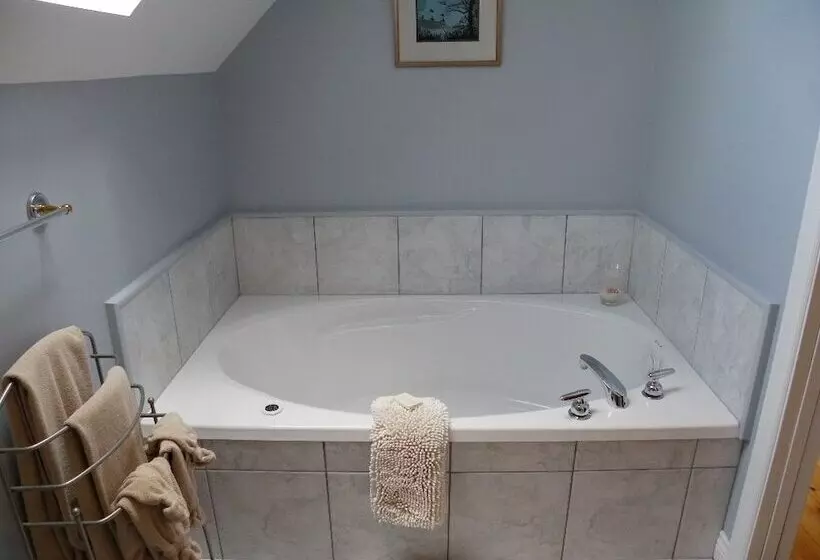 The Colonel S In B&b