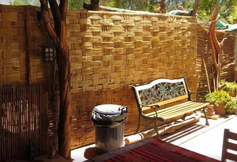 Hostal La Casa Blanca