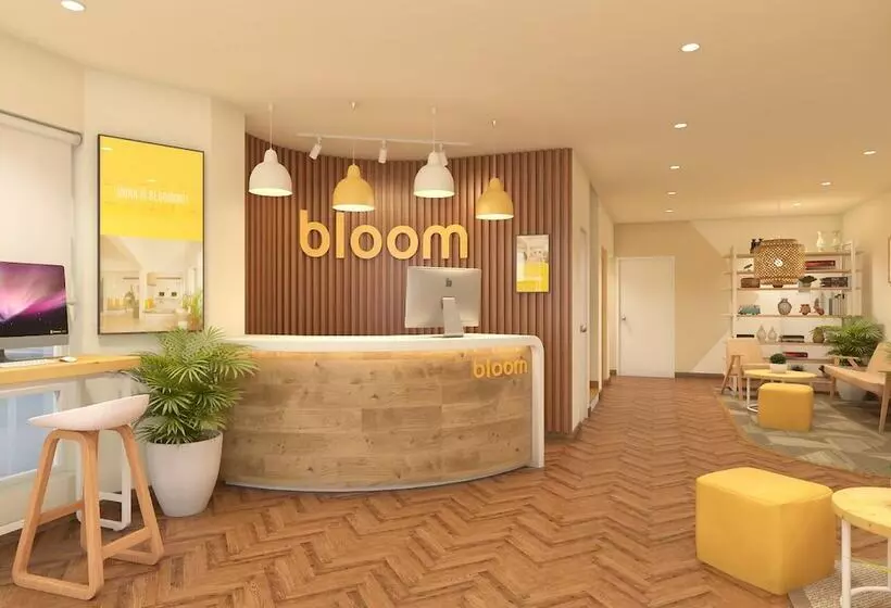 Bloom Hotel   Karol Bagh