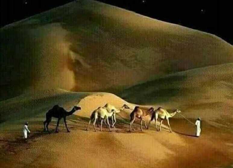 Hotel Etoile Sahara Camp