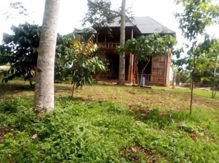 هتل Jungle Lodge Kibale