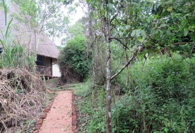 هتل Jungle Lodge Kibale