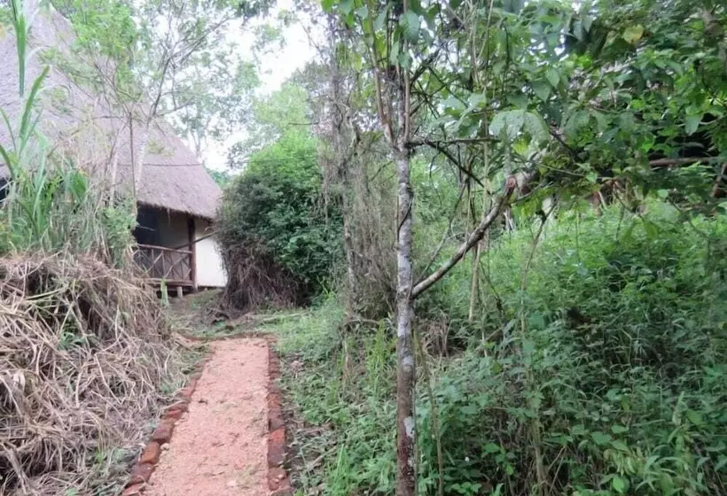 هتل Jungle Lodge Kibale