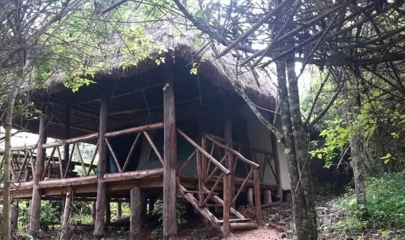 هتل Jungle Lodge Kibale