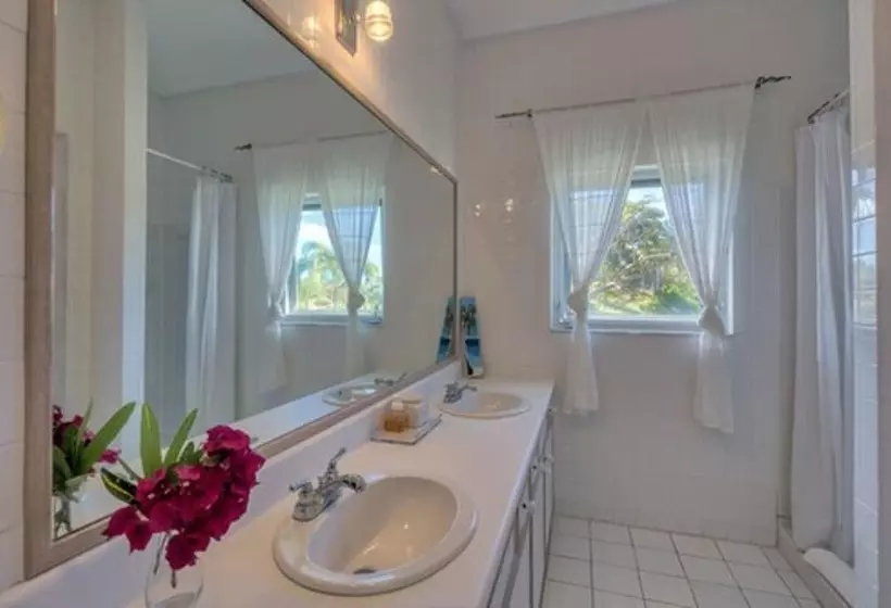 La Bougainvillea Hotel And Villas