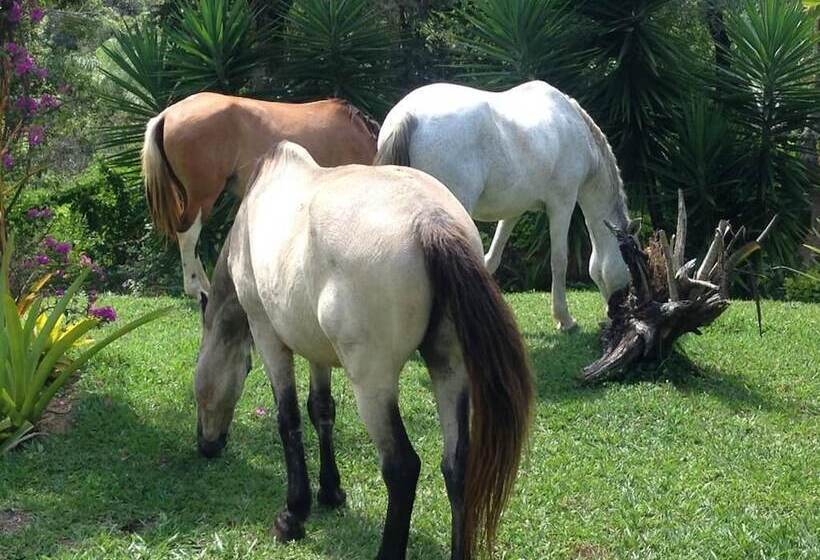 Hotel Pousada Rancho Flores