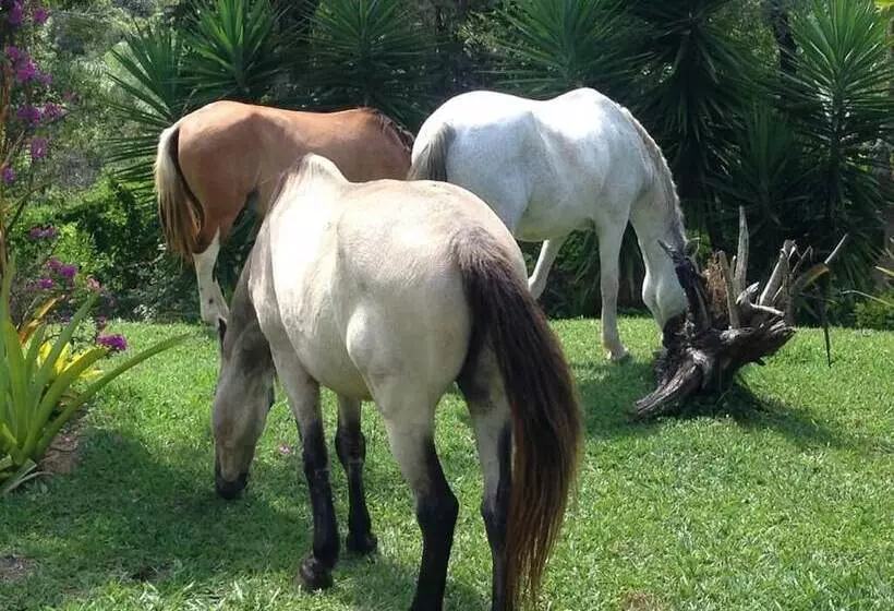 Hotelli Pousada Rancho Flores