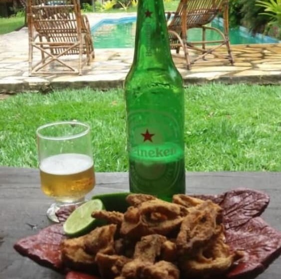 Otel Pousada Rancho Flores