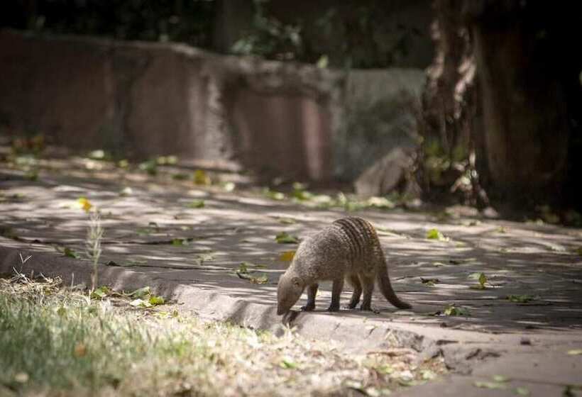 هتل Siana Springs Tented Camp