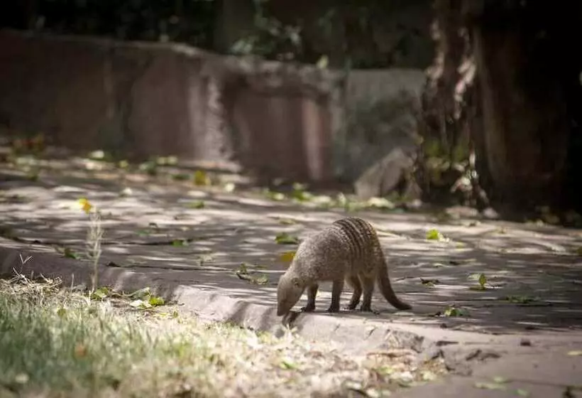 هتل Siana Springs Tented Camp