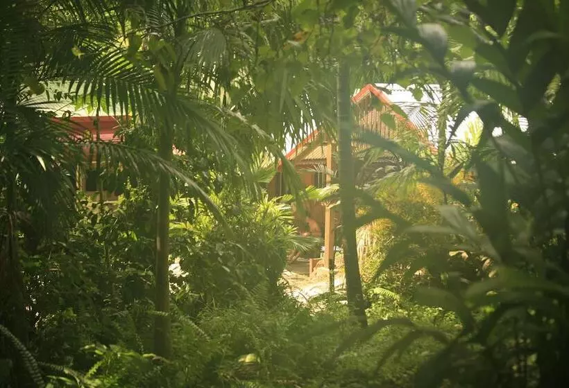 Aamiaismajoitus (B&B) Tropical Bliss Bnb