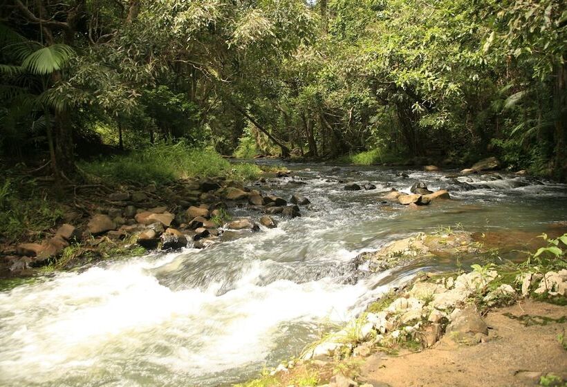 Bed and Breakfast Tropical Bliss Bnb