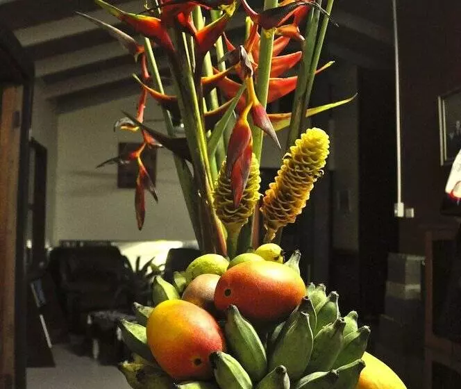 Aamiaismajoitus (B&B) Tropical Bliss Bnb