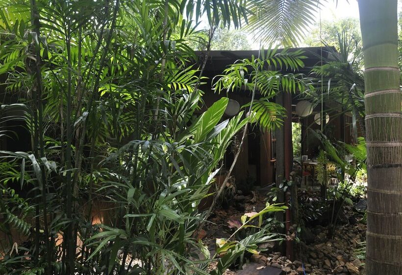 Bed and Breakfast Tropical Bliss Bnb