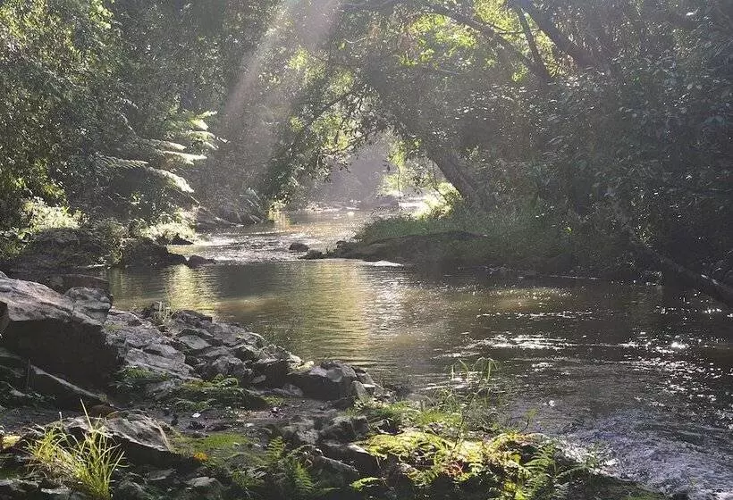 Aamiaismajoitus (B&B) Tropical Bliss Bnb