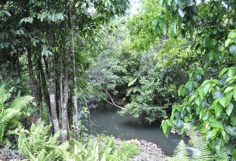 Bed and Breakfast Tropical Bliss Bnb