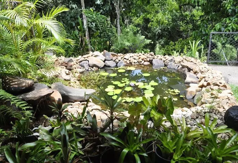 Aamiaismajoitus (B&B) Tropical Bliss Bnb