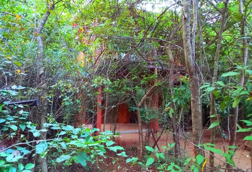 Отель Hornbill Forest Habarana