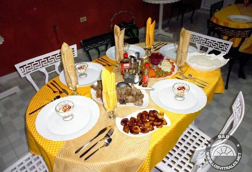 پانسیون Hostal Los Vitrales