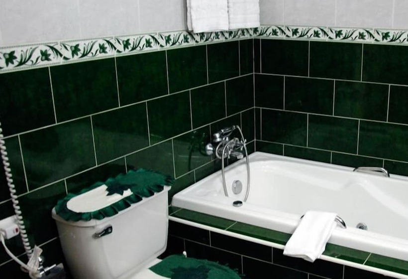 پانسیون Hostal Los Vitrales