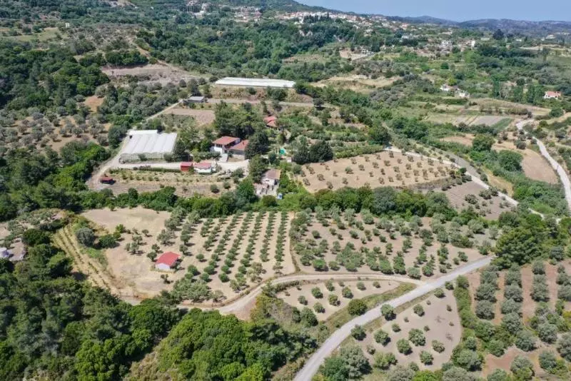 Hotelli Agrology Lux