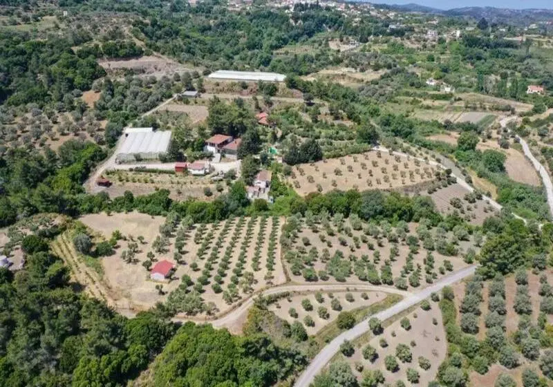 Hotelli Agrology Lux