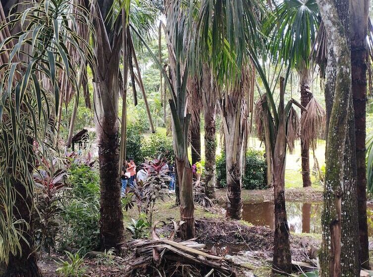 Hotel Amazon Lodge Varillal