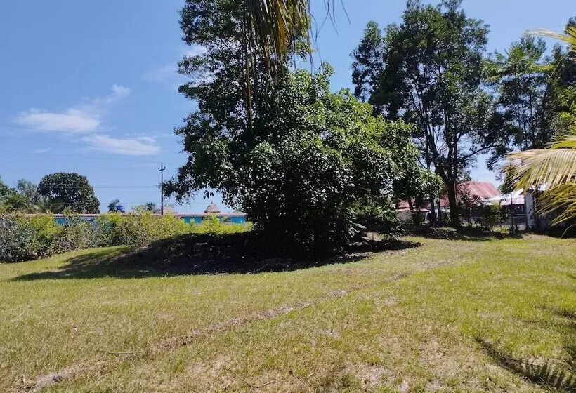 ホテル Amazon Lodge Varillal