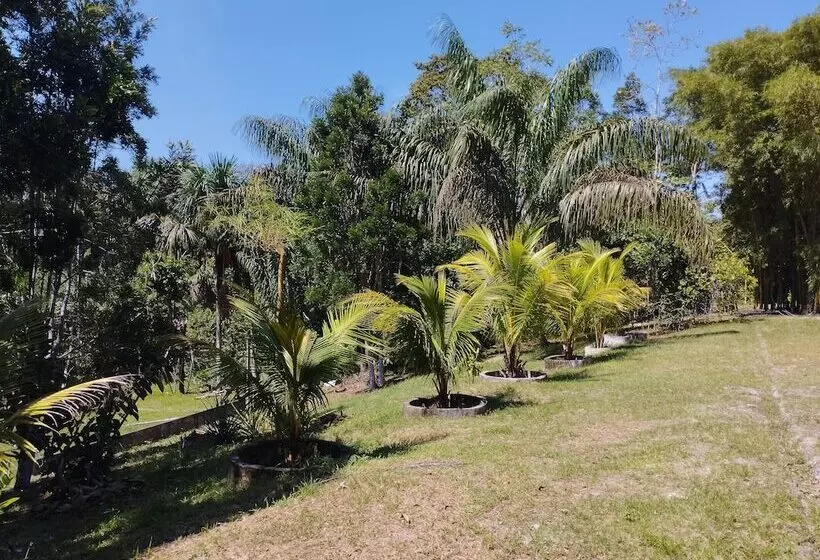 ホテル Amazon Lodge Varillal