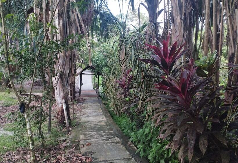 Hotel Amazon Lodge Varillal