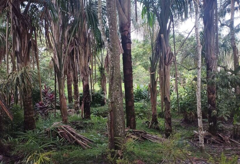 Hotel Amazon Lodge Varillal