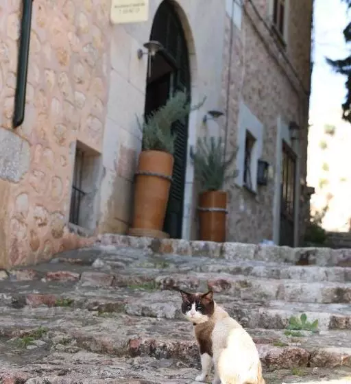 Hotel Can Pera Accommodation   Ti